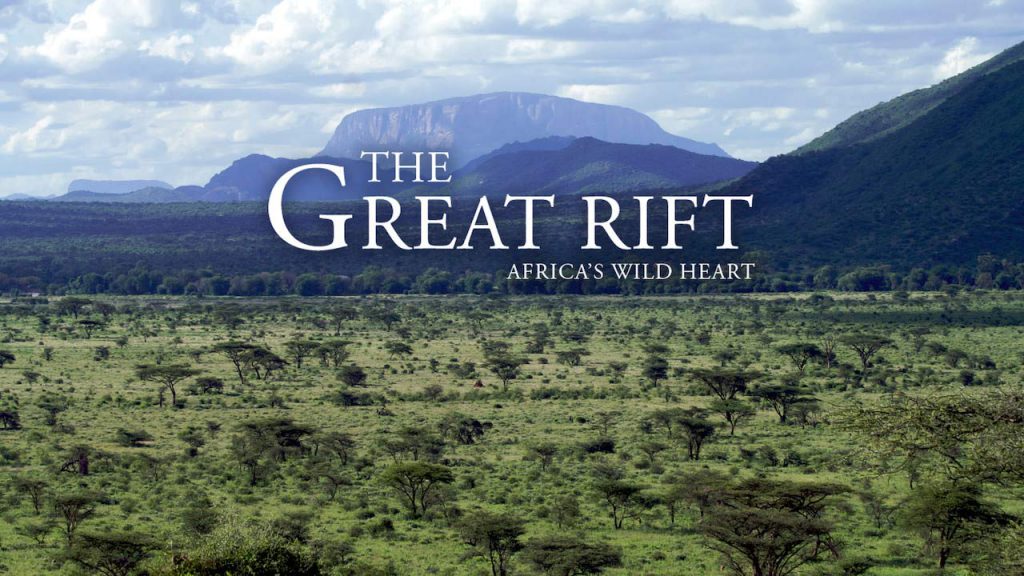 Africa's Wild Heart - Fire