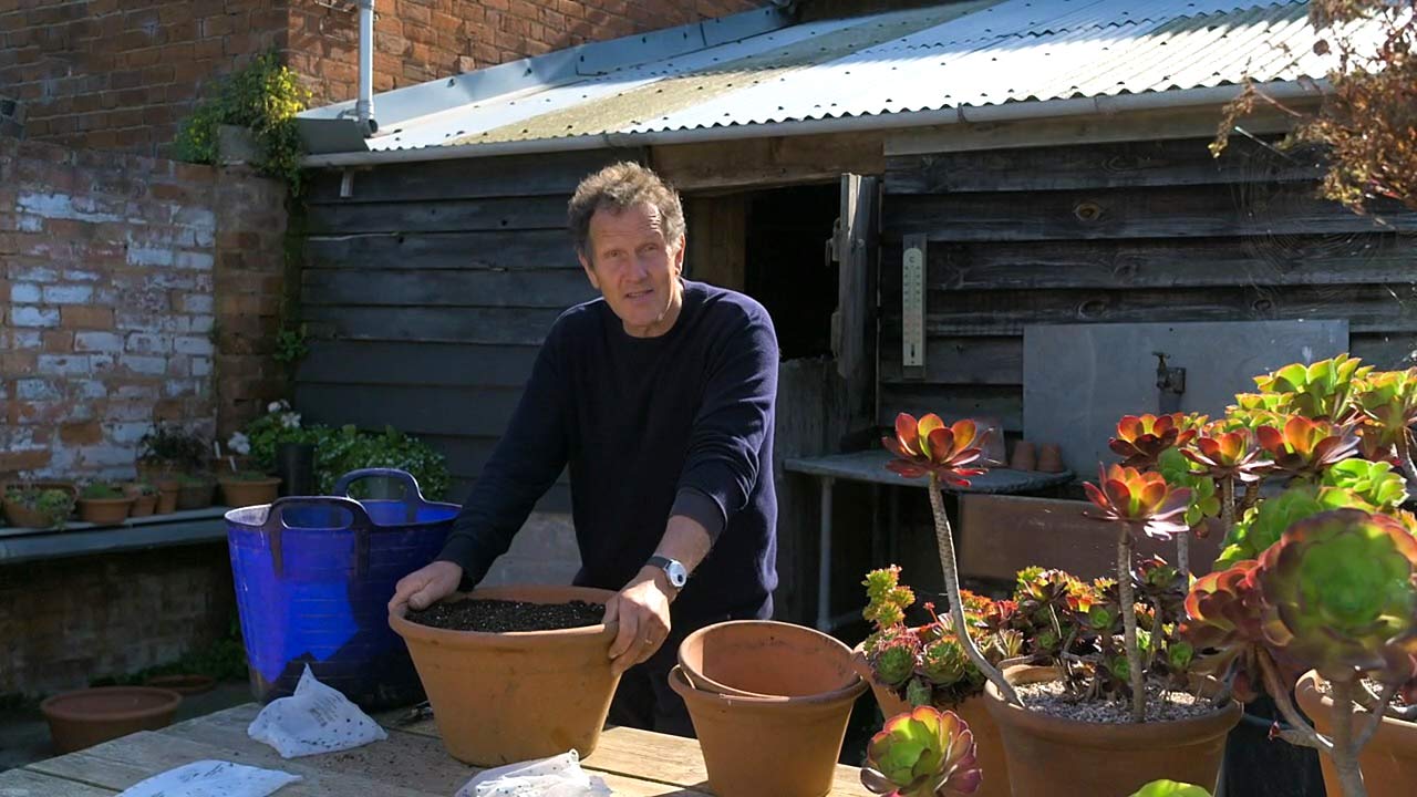 Read more about the article Gardeners’ World 2022/23 Winter Specials episode 1