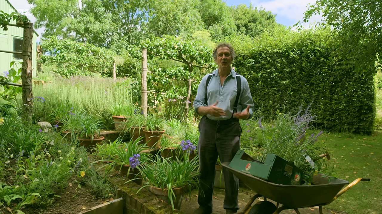 Read more about the article Gardeners’ World 2023 – Compilations episode 1