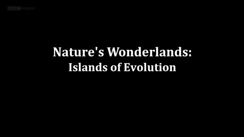 Read more about the article Islands of Evolution episode 2 – Madagascar