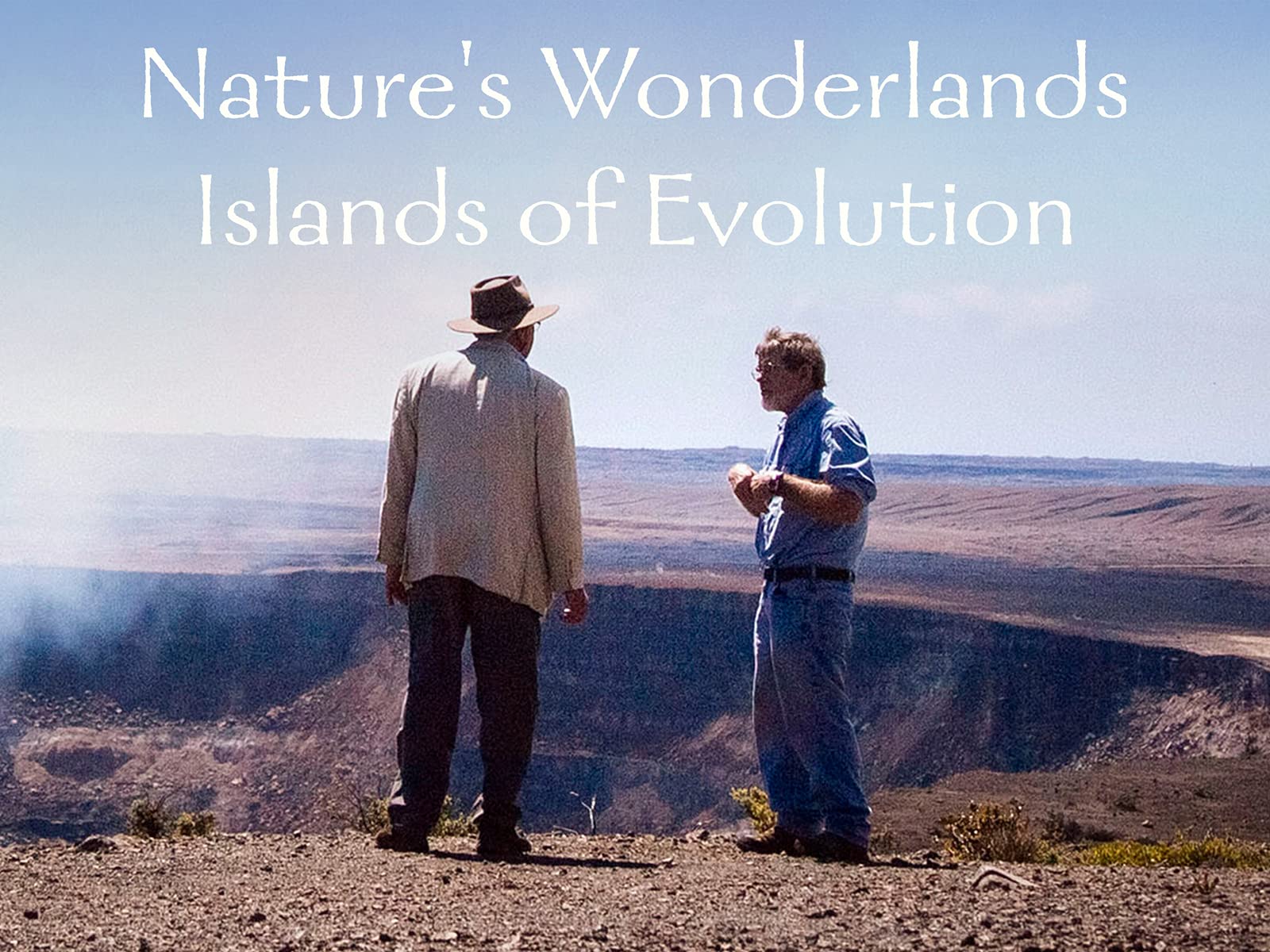 Read more about the article Islands of Evolution episode 3 – Madeira