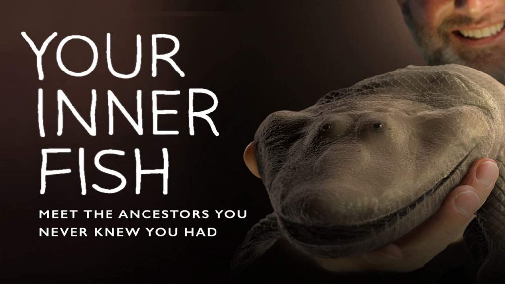 Your Inner Fish: An Evolution Story episode 1