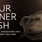 Your Inner Fish An Evolution Story episode 2
