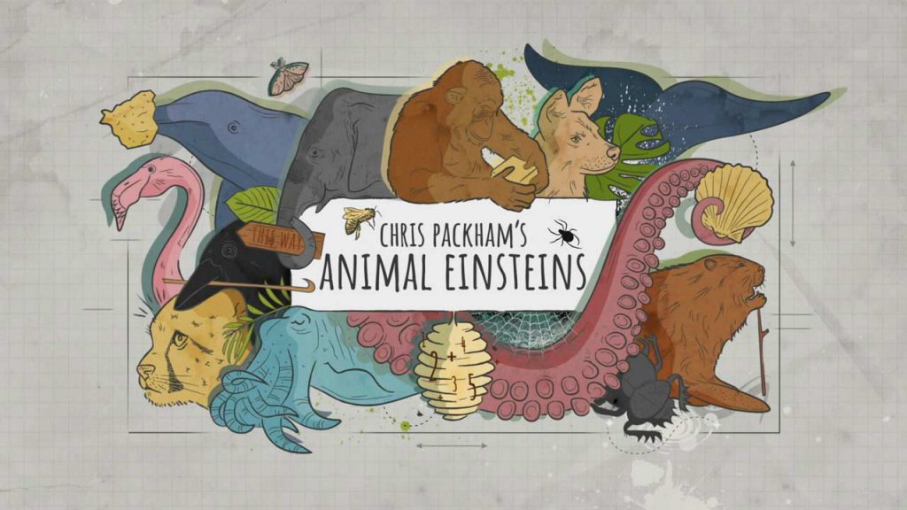 Chris Packham's Animal Einsteins episode 1