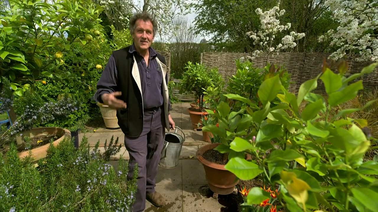 Read more about the article Gardeners’ World 2023 – Compilations episode 3
