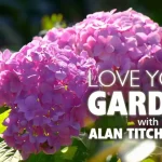 Love Your Garden 2023 episode 3