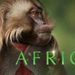 Africa episode 1 - Kalahari