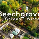 Beechgrove Garden in Winter 2023 episode 1