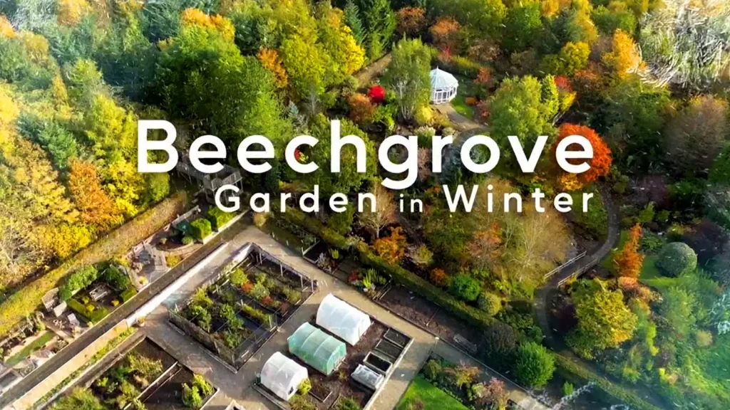 Beechgrove Garden in Winter 2023 episode 3