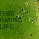 This Farming Life 2023 Episode 12