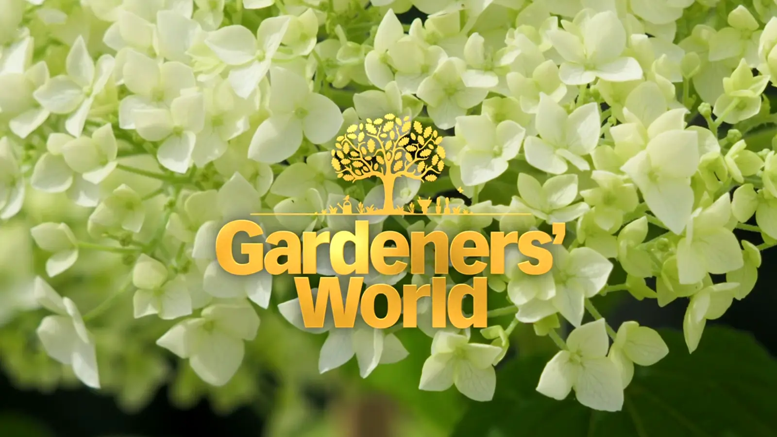 Gardeners’ World 2023/24 Winter Specials episode 2