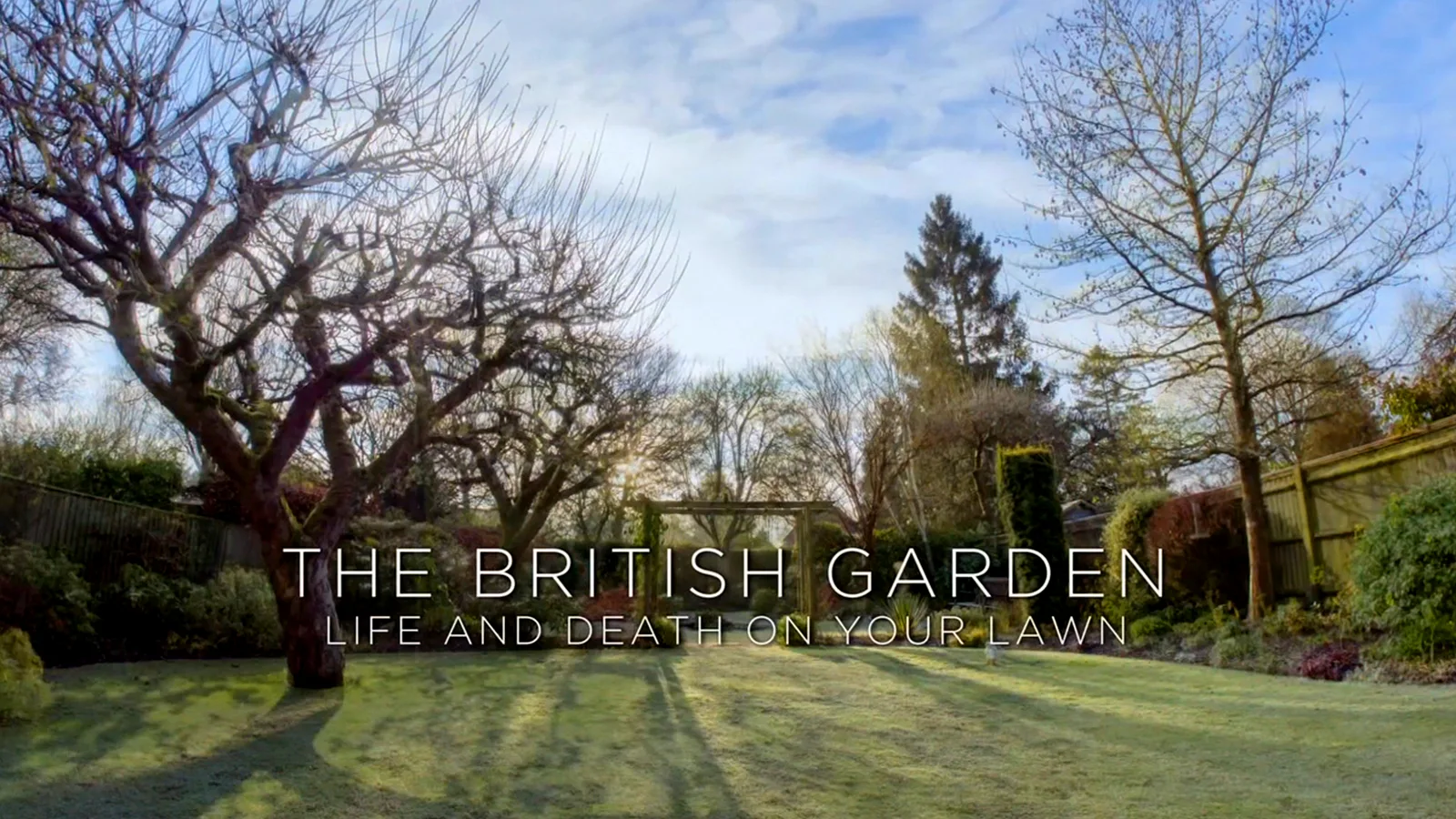 Life and Death on Your Lawn