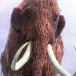Woolly Mammoth: Secrets from the Ice