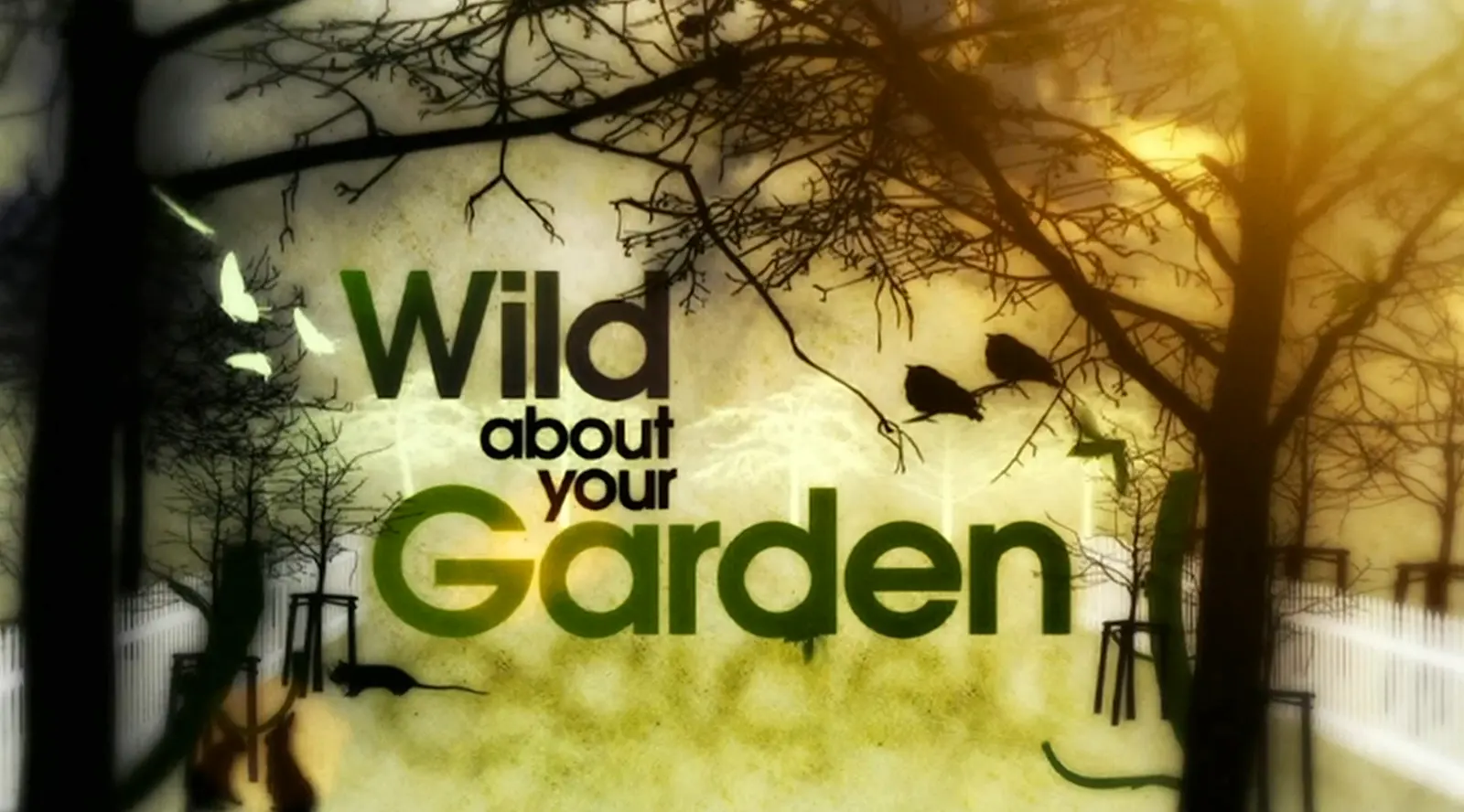 Wild About Your Garden episode 1