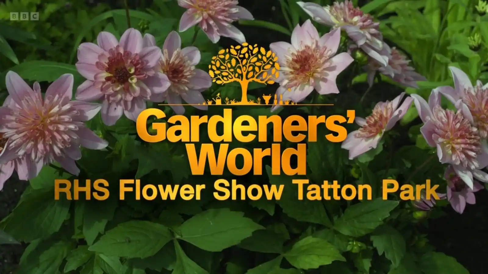 Gardeners World 2024 Episode 17 HDclump