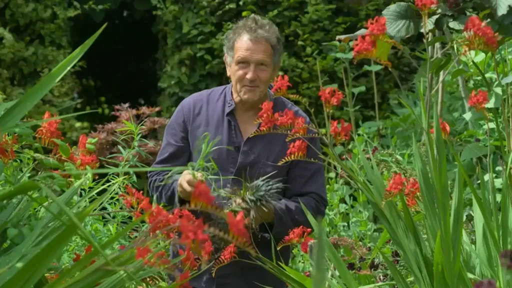 Gardeners World 2024 Episode 19 HDclump