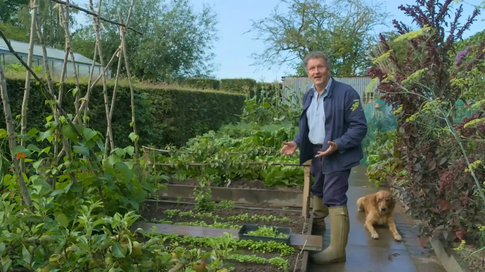 Gardeners World 2024 Episode 23 Autumn Tasks HDclump