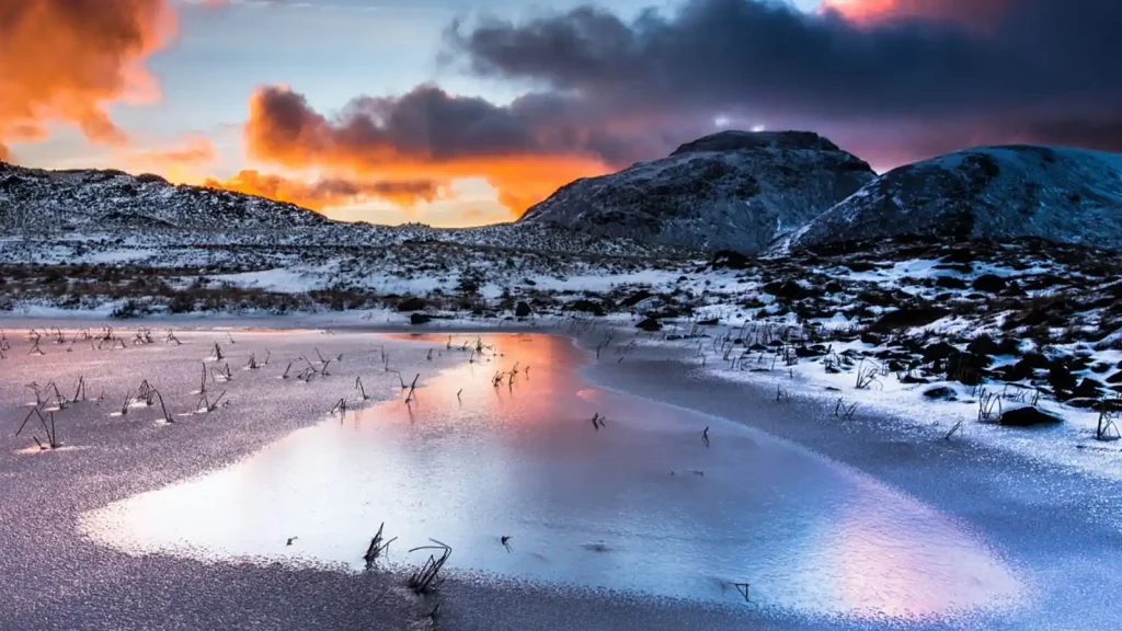 The Lake District A Wild Year