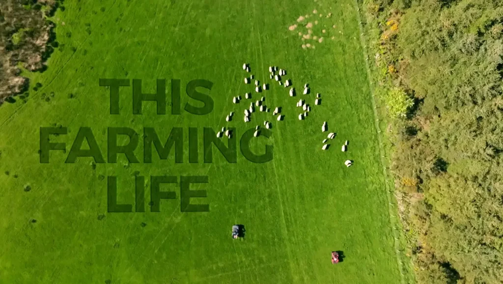 This Farming Life 2025 Episode 10