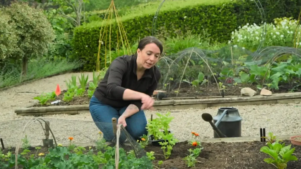 The Beechgrove Garden 2025 episode 12