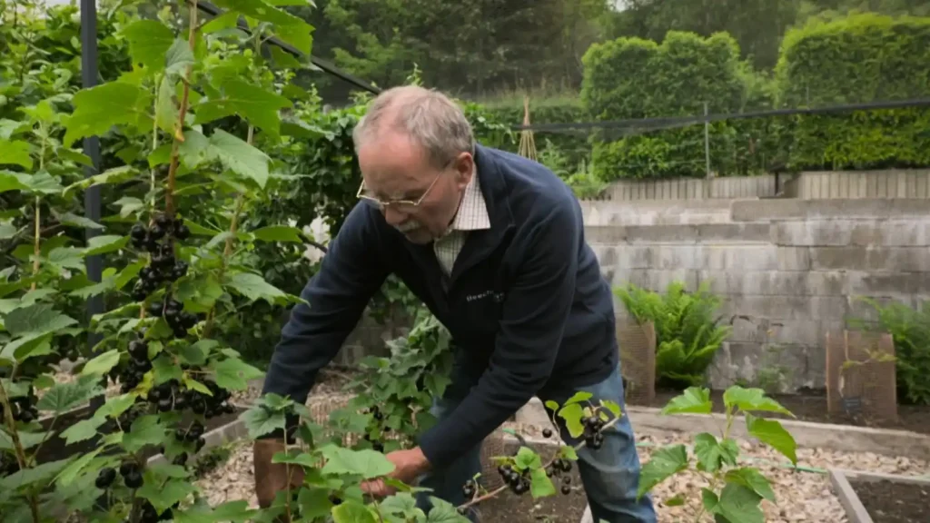 The Beechgrove Garden 2025 episode 15