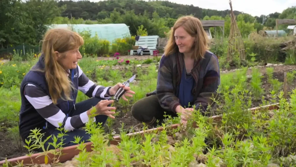 The Beechgrove Garden 2025 episode 17