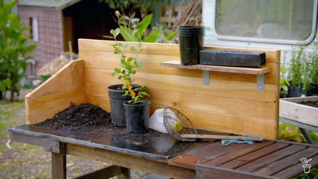 Gardening Australia 2025 Episode 26