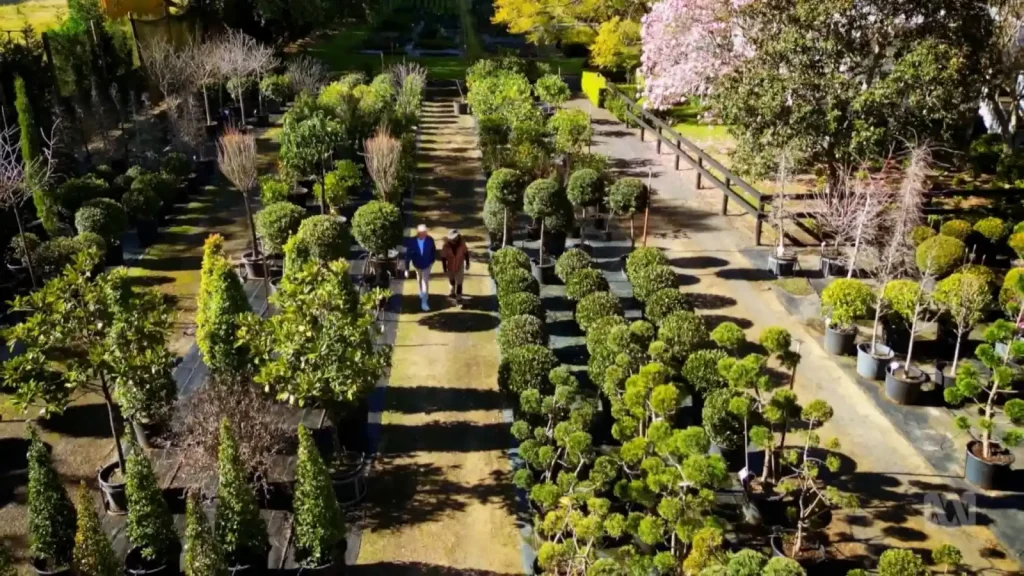 Gardening Australia 2025 Episode 33