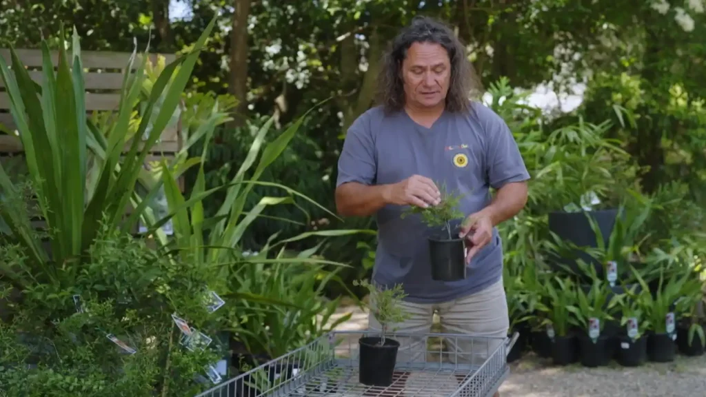 Gardening Australia 2025 Episode 36