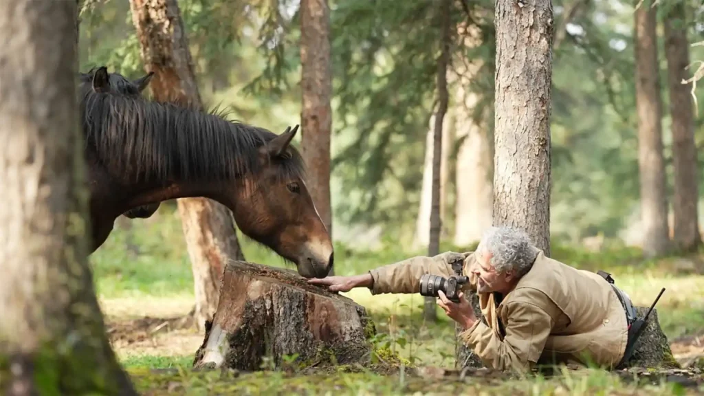 Wild Horses, the Rockies and Me
