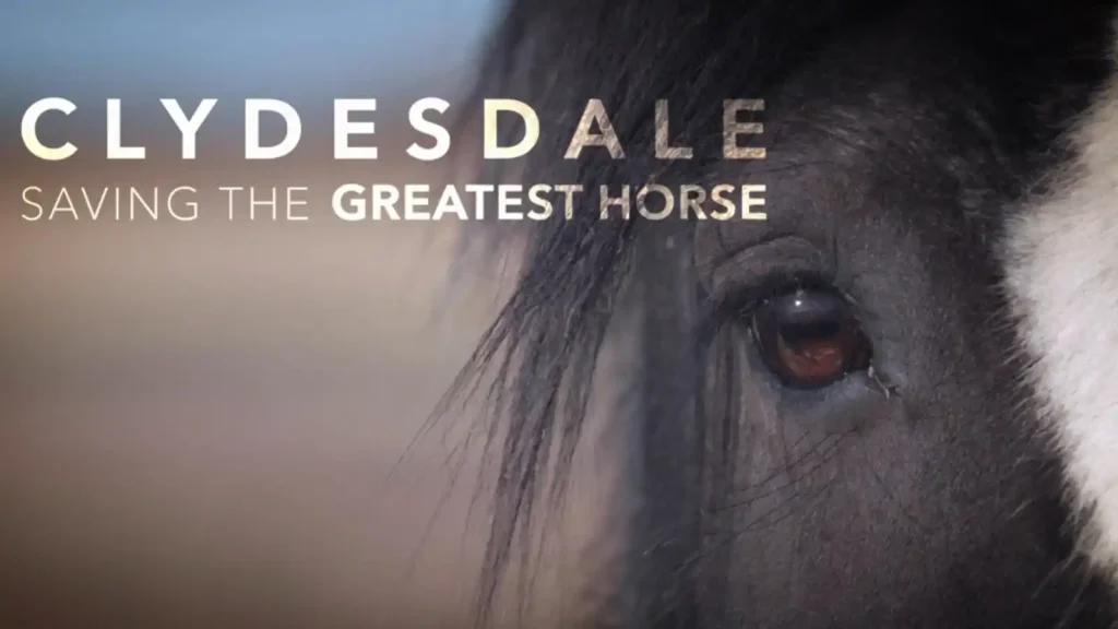 Clydesdale - Saving the Greatest Horse