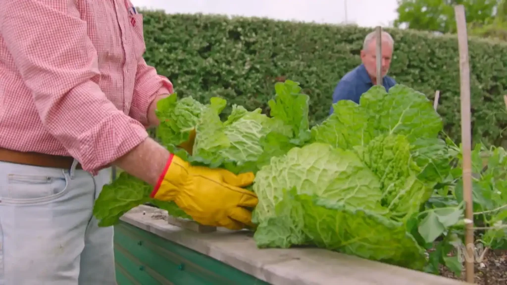 Gardening Australia 2026 Episode 1