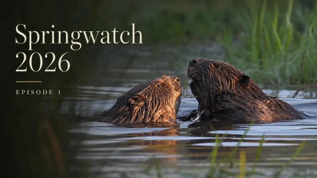 Springwatch 2026 episode 1