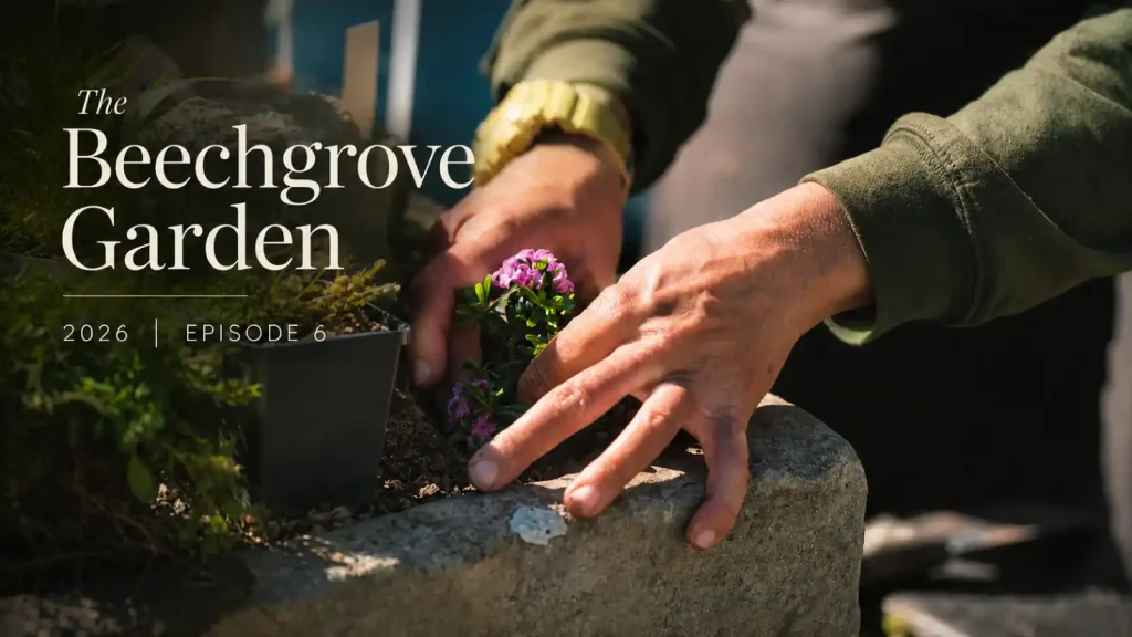 The Beechgrove Garden 2026 episode 6