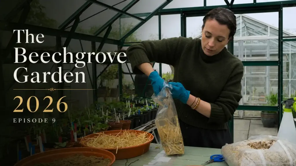 The Beechgrove Garden 2026 episode 9